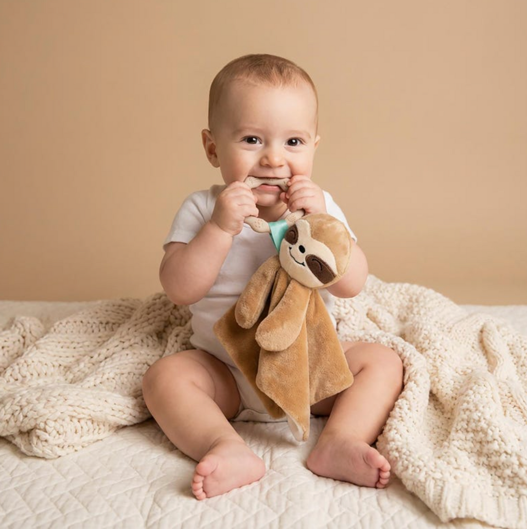 Minky Plush Teething Toy- Security Blanket