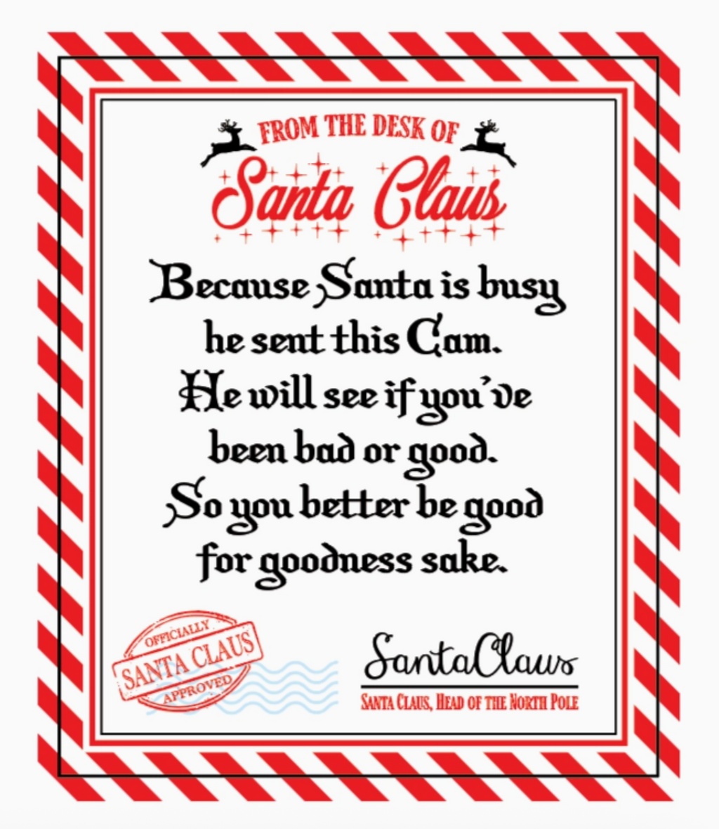 Christmas Santa Cam Night Light