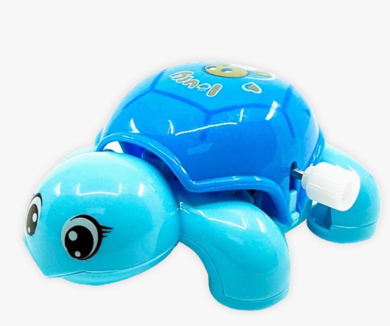 Wind Up & Play Turtle Toy