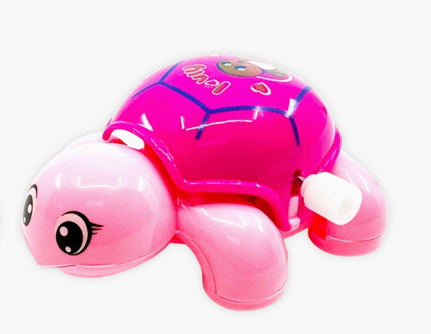 Wind Up & Play Turtle Toy