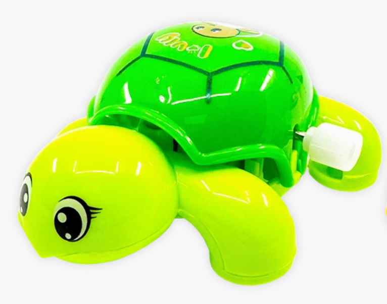 Wind Up & Play Turtle Toy