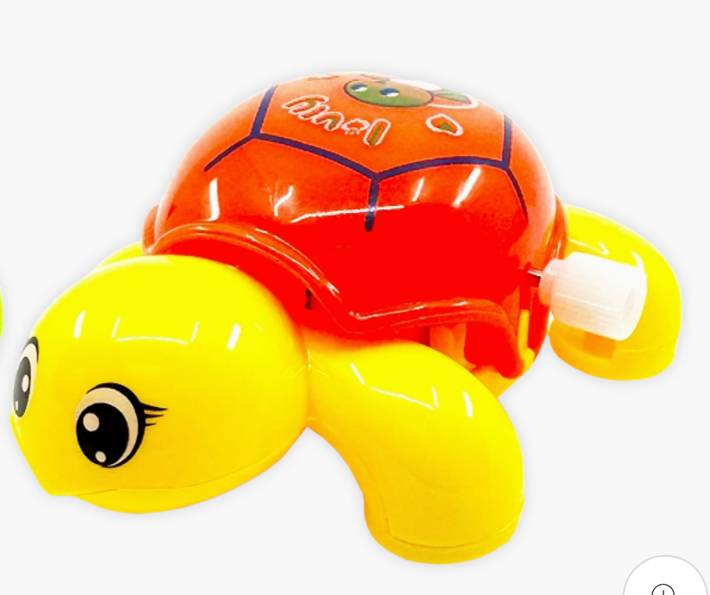 Wind Up & Play Turtle Toy
