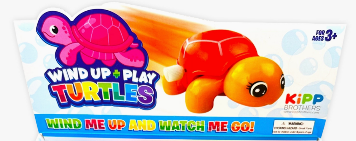 Wind Up & Play Turtle Toy