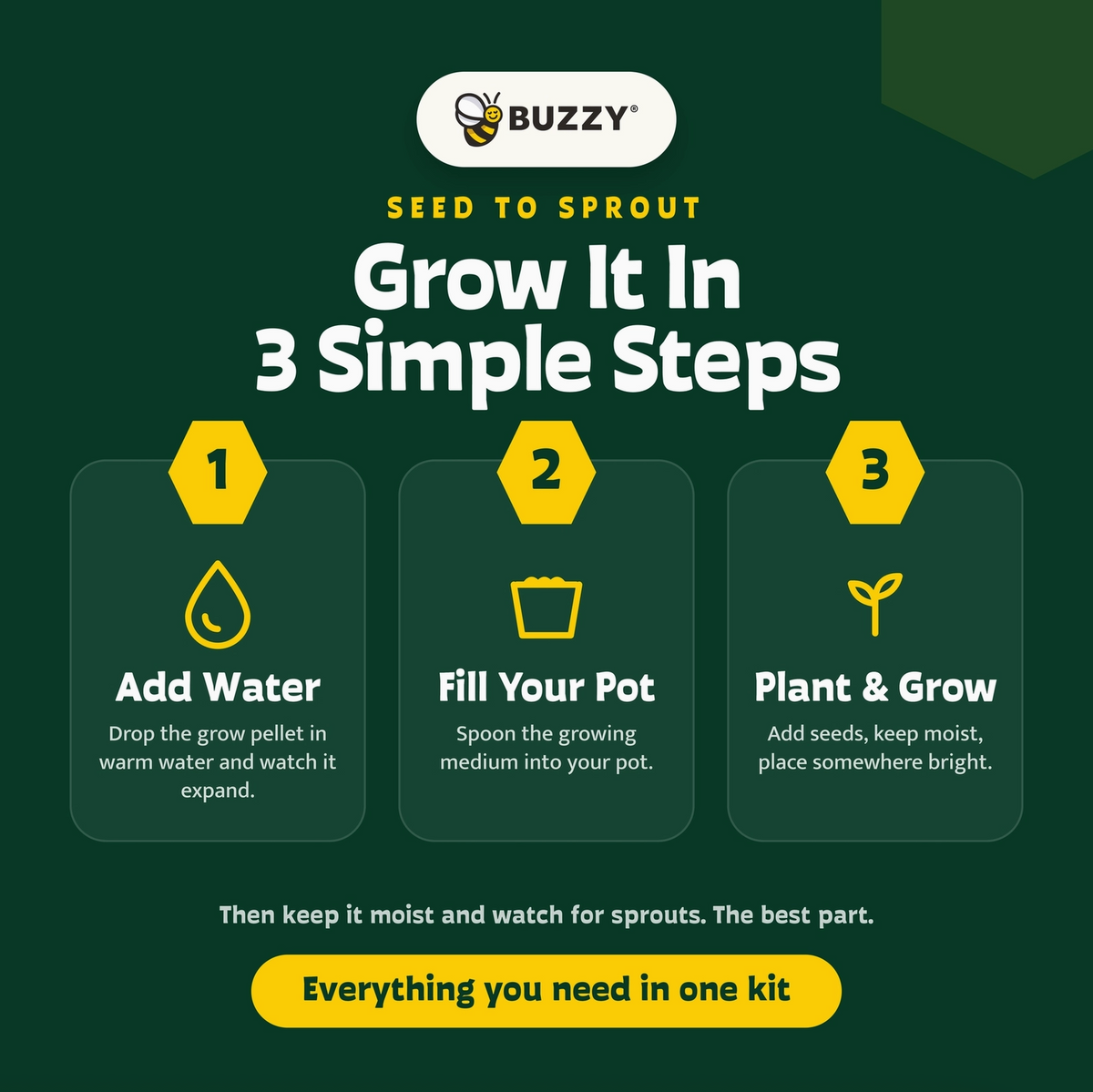 Holiday Square Tin Spruce Grow Kit | Christmas Tree | Indoor
