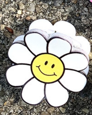 Mini Daisy Claw Clips