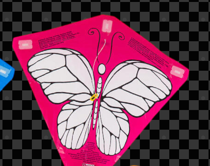 X-Kites Color-Me-Kite Poly Diamond Kite