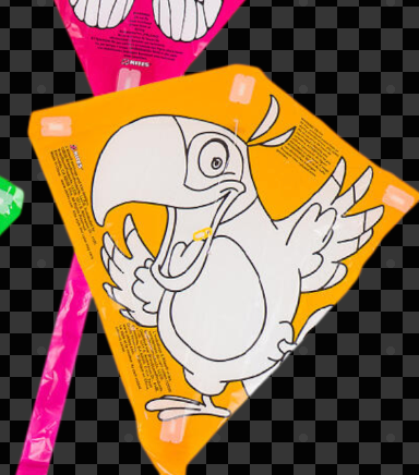 X-Kites Color-Me-Kite Poly Diamond Kite